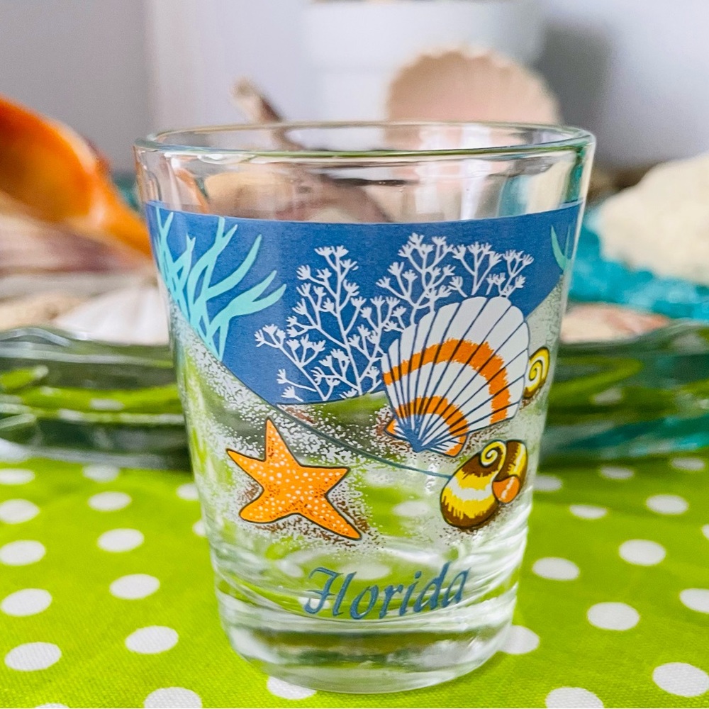 🆓free with purchase 🆓Florida Seashell Shot Glass